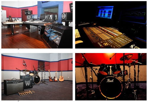 中心實驗室網站建設的實踐與探索