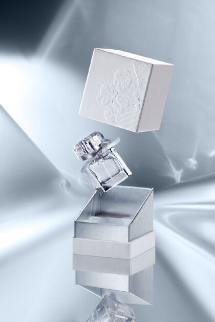 灰白銀 站酷Zcool平臺(tái)上的創(chuàng)意設(shè)計(jì)寶藏