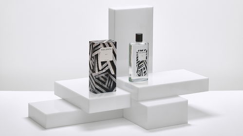 創(chuàng)意視覺(jué)交響曲 包裝、插畫(huà)、標(biāo)志與網(wǎng)站的融合之美